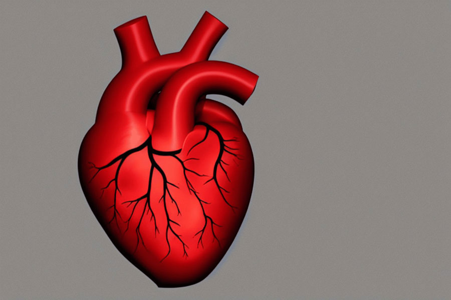 Phoenix Cardiovascular Institute Coronary Artery Disease (CAD)